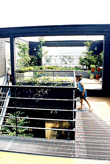 屋上庭園を楽しく活用する住宅が増えています！