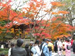 ＦＰと歩く京都の町並みと建築　金閣寺周辺の風景
