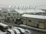■埼玉県も雪です