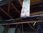 耐震補強工事における木造住宅の劣化対策