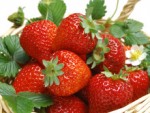 「春の美味しい苺」手づくり酵素ジュース講座のお知らせ