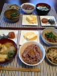 掛川食堂 ぽりぽり豆と和のランチ