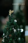 「聖夜に輝くクリスマスツリー」水戸教室から♪