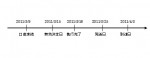 中国特許判例紹介(31) 特許が無効とされた場合の遡及効発生時期（第2回）