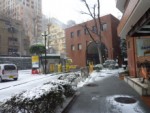 Heavy snow hits Japan