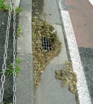 落葉と道路冠水の関係――三鷹市から調布市にかけて激しく降ったひょうの現場リポート＃02