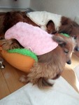 女装サロン型女装化粧品ハイクオリティ新宿　保志の子供たちのアホアホプライベートブログ(´艸｀*)