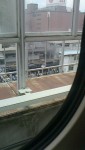 蒸気機関車を撮りました…新幹線の車窓から