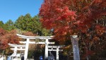 ★お宝画像あり～！関東最強のパワスボ三峯神社