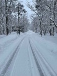 敷地の積雪量