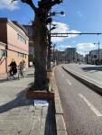 岡山の自転車専用道路