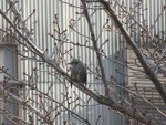 近況と共に最近私が思う事 ⑯