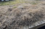この合間に調査してます。