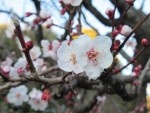 近況と共に最近私が思う事 ⑰