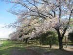 大きく人生を左右する「自己肯定感」