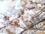 今振り返って思う事