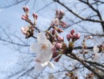 私が改めて理解した「自分の人生の謎解き」