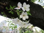 自分を美化し過ぎている人達は「自分に都合の良い様にしか解釈しない」から人生に変化を起こせない