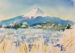DiDi（土井大輔）さんという天才的水彩画家に付いて語ります