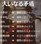 今回の選挙に私が思う事