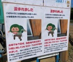 こんなところで