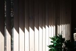 中庭のある家　縦型木製ブラインド