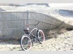 湘南の海辺には自転車が似合いますよ！