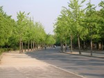 大阪城公園風景　１　　朝の顔