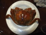最高級の上海蟹