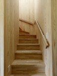 杉の木の固まりのような階段室
